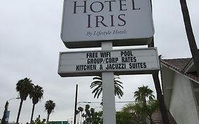 Iris San Diego